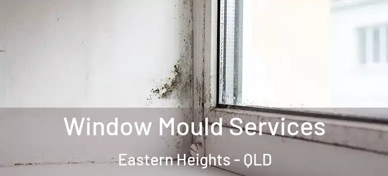  Window Mould Services Eastern Heights - QLD