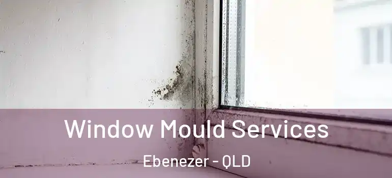 Window Mould Services Ebenezer - QLD