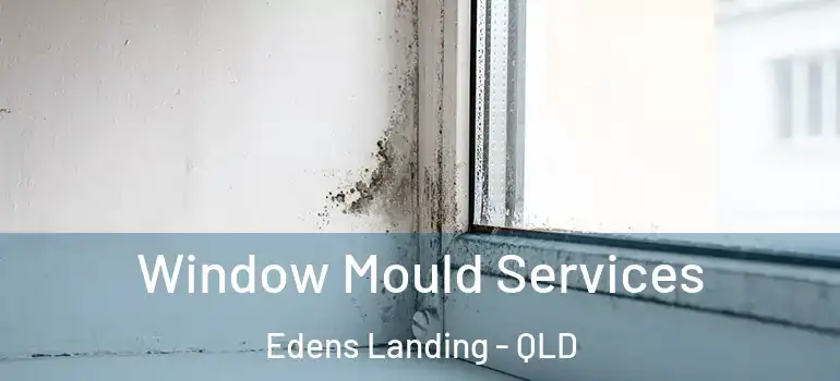 Window Mould Services Edens Landing - QLD