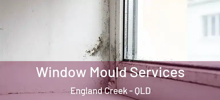 Window Mould Services England Creek - QLD