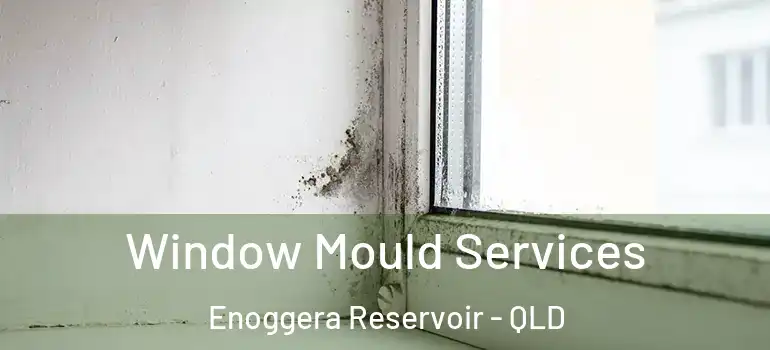 Window Mould Services Enoggera Reservoir - QLD