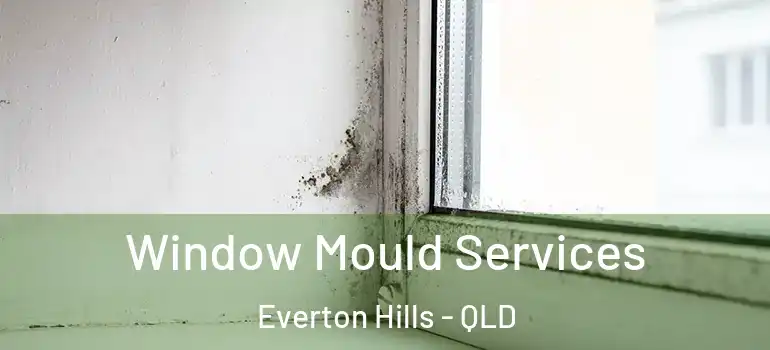 Window Mould Services Everton Hills - QLD