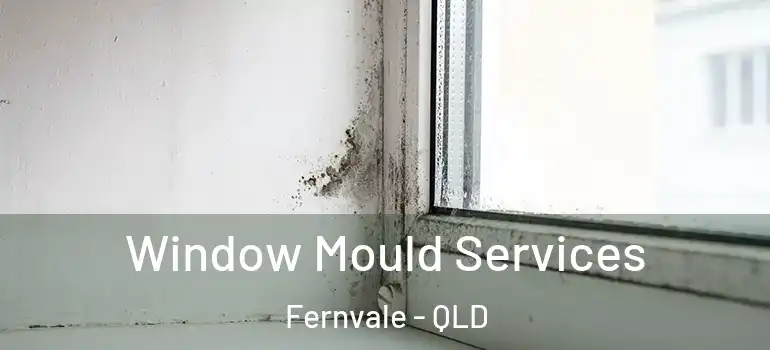 Window Mould Services Fernvale - QLD