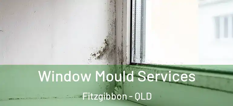 Window Mould Services Fitzgibbon - QLD