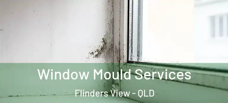  Window Mould Services Flinders View - QLD