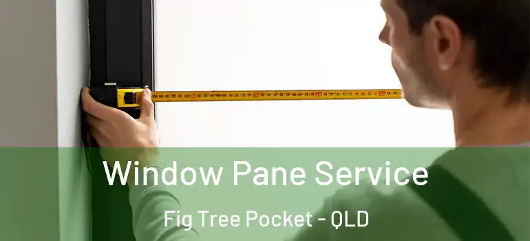 Window Pane Service Fig Tree Pocket - QLD