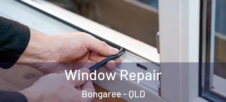  Window Repair Bongaree - QLD