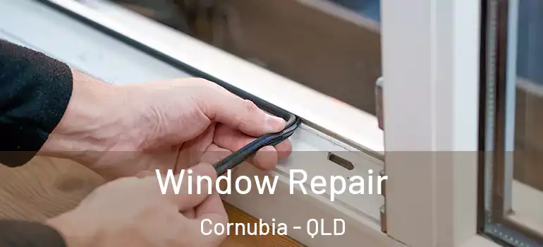 Window Repair Cornubia - QLD