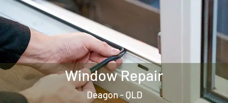 Window Repair Deagon - QLD