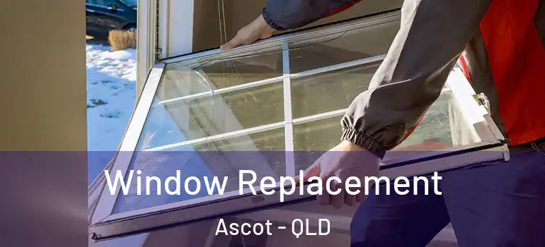 Window Replacement Ascot - QLD