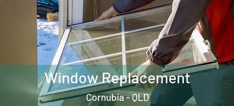Window Replacement Cornubia - QLD