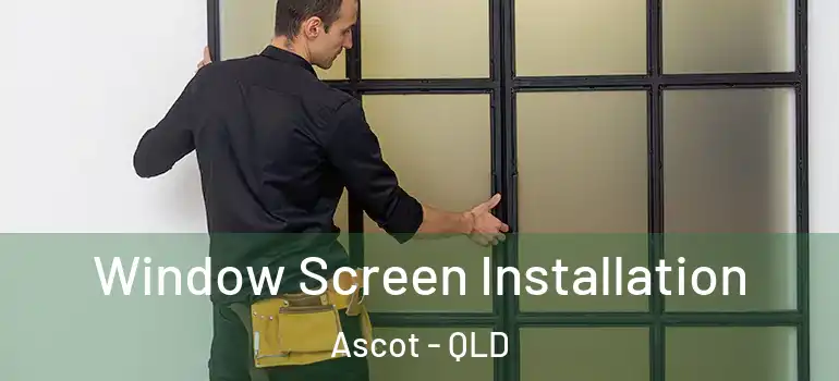 Window Screen Installation Ascot - QLD