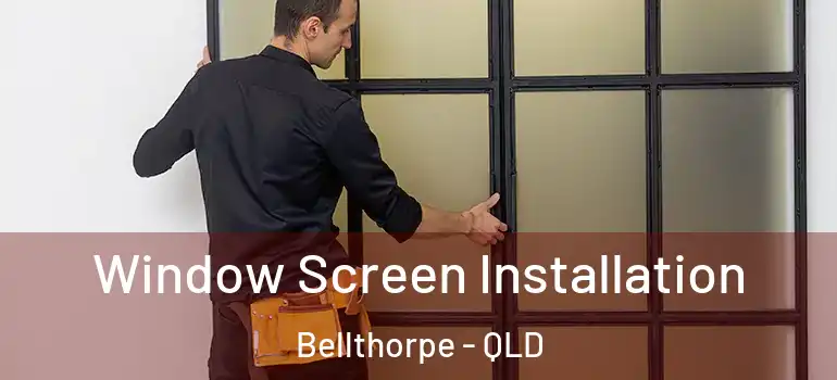 Window Screen Installation Bellthorpe - QLD