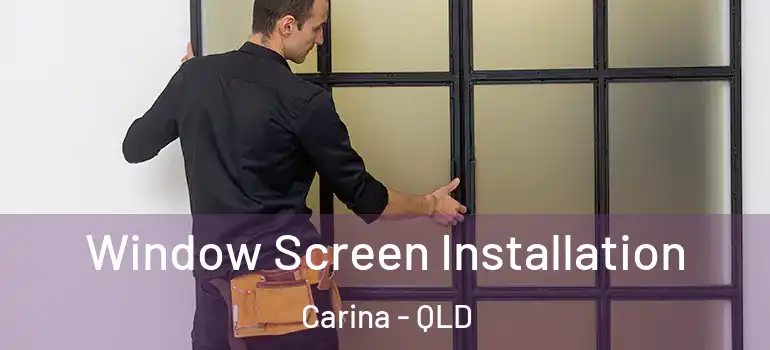 Window Screen Installation Carina - QLD