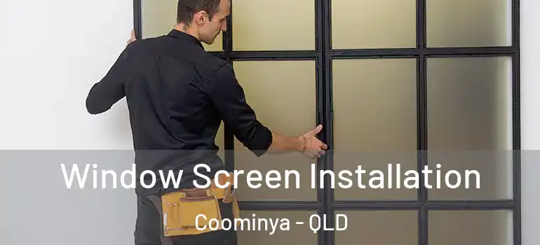 Window Screen Installation Coominya - QLD