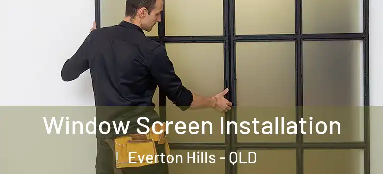 Window Screen Installation Everton Hills - QLD