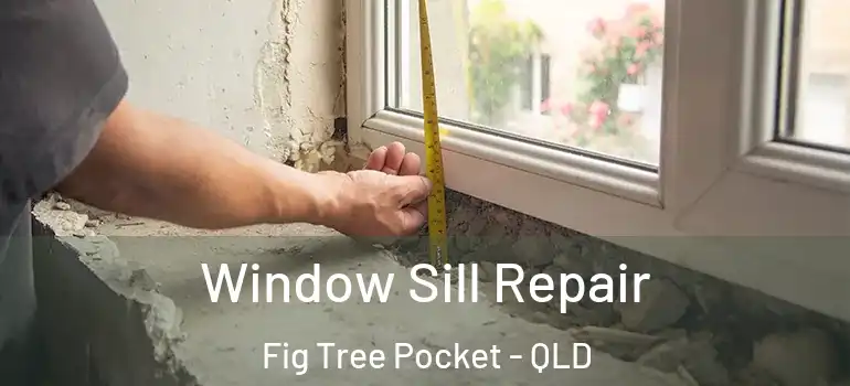 Window Sill Repair Fig Tree Pocket - QLD
