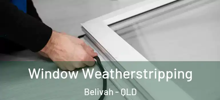  Window Weatherstripping Belivah - QLD