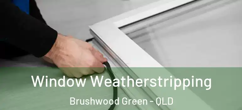  Window Weatherstripping Brushwood Green - QLD