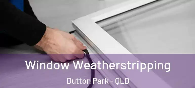 Window Weatherstripping Dutton Park - QLD