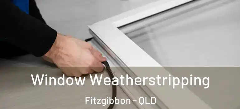 Window Weatherstripping Fitzgibbon - QLD