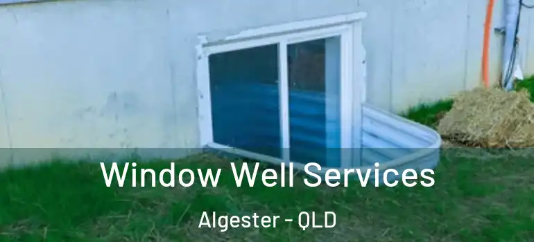 Window Well Services Algester - QLD