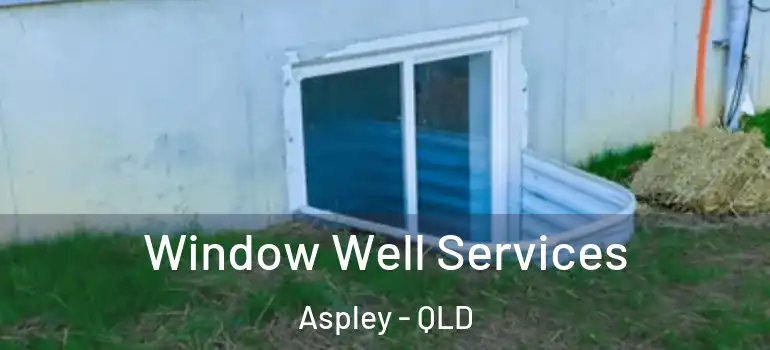 Window Well Services Aspley - QLD