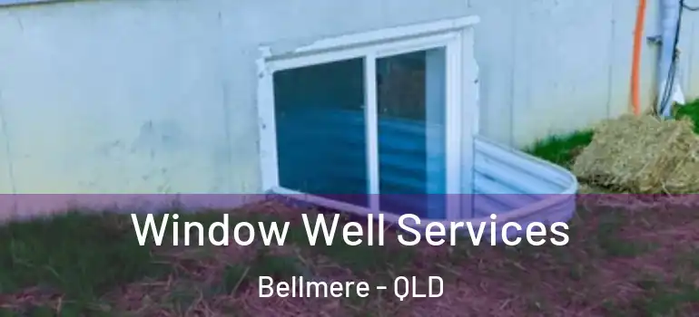 Window Well Services Bellmere - QLD