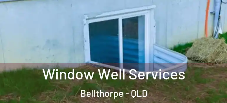  Window Well Services Bellthorpe - QLD