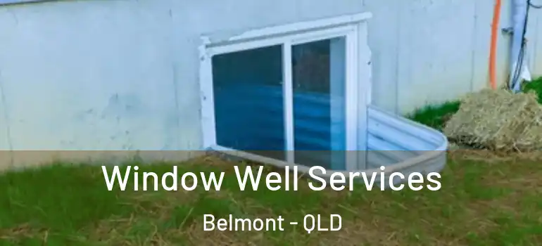 Window Well Services Belmont - QLD