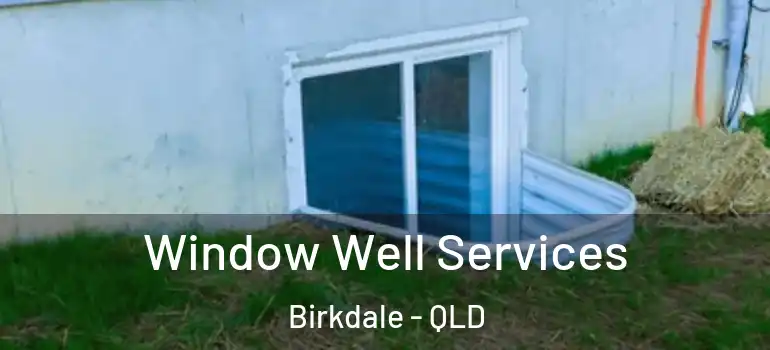 Window Well Services Birkdale - QLD