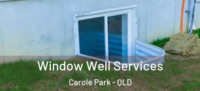  Window Well Services Carole Park - QLD