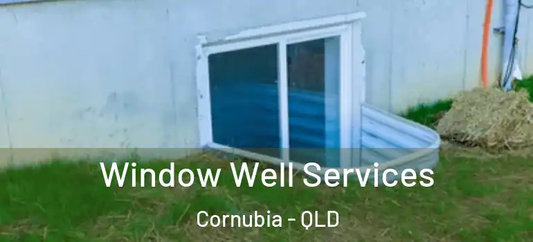 Window Well Services Cornubia - QLD